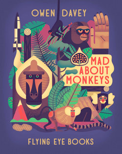 Mad About Monkeys