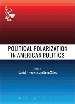 Political Polarization in American Politics