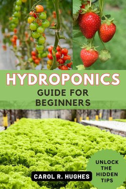 Hydroponics Guide for Beginners