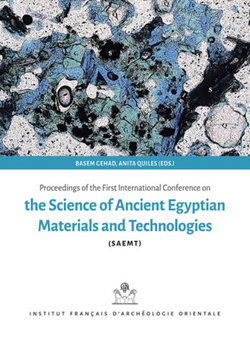 Proceedings of the First International Conference on the Science of Ancient Egyptian Materials and Technologies