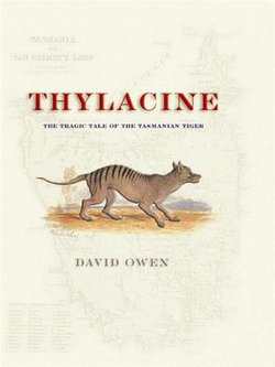 Thylacine