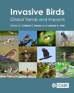 Invasive Birds