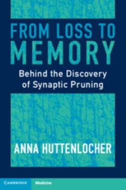 From Loss to Memory