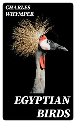 Egyptian Birds