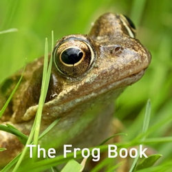 The Frog Book