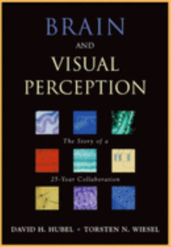 Brain and Visual Perception