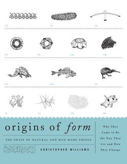 Origins of Form