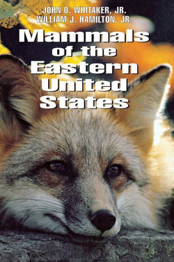 Mammals of the Eastern United States