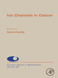 Ion Channels in Cancer