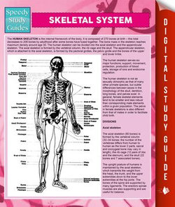 Skeletal System