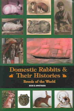 Domestic Rabbits and Their Histories