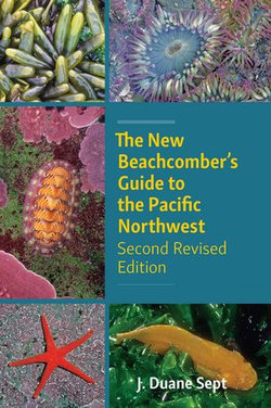 The New Beachcomber’s Guide to the Pacific Northwest