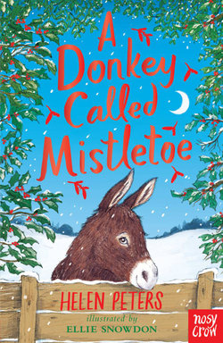 A Donkey Called Mistletoe