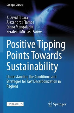 Positive Tipping Points Towards Sustainability