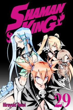 SHAMAN KING 29