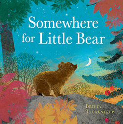 Somewhere for Little Bear