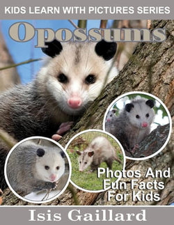 Opossums Photos and Fun Facts for Kids