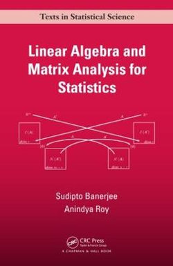 Linear Algebra and Matrix Analysis for Statistics