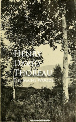 The Maine Woods