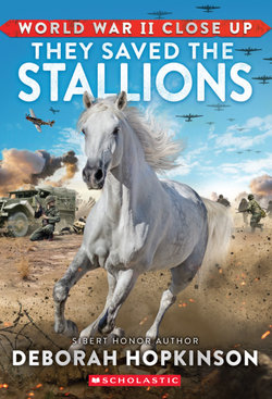 World War II Close up: They Saved the Stallions