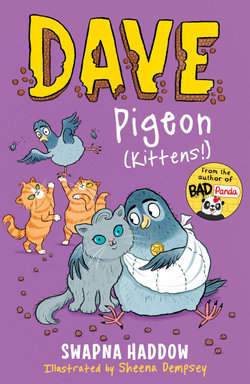 Dave Pigeon (Kittens!)