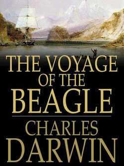 The Voyage of the Beagle