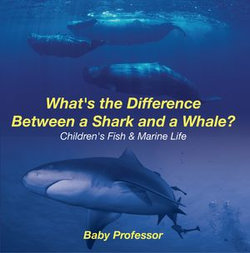 What's the Difference Between a Shark and a Whale? | Children's Fish & Marine Life