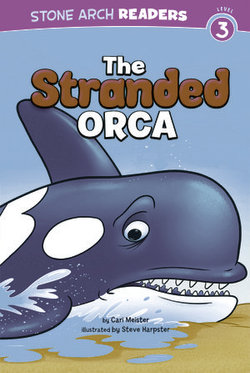 The Stranded Orca