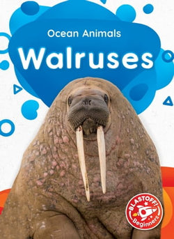 Walruses