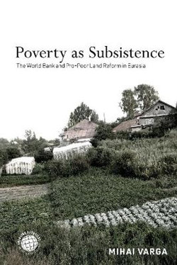 Poverty As Subsistence