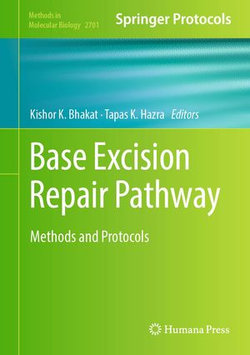 Base Excision Repair Pathway