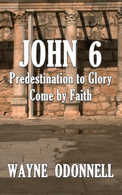 John 6: Predestination to Glory - Come by Faith