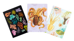 Art of Nature: under the Sea Sewn Notebook Collection (Set Of 3)