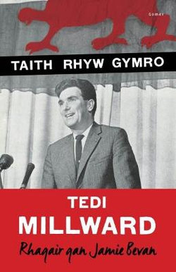 Taith Rhyw Gymro