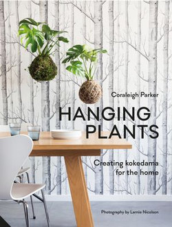 Hanging Plants