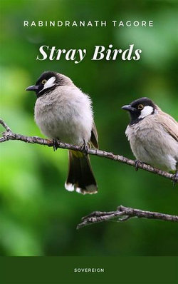 Stray Birds