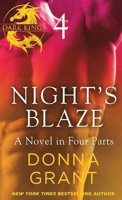 Night's Blaze: Part 4