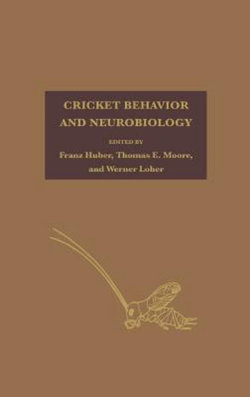 Cricket Behavior and Neurobiology