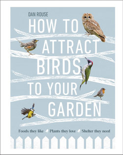 How to Attract Birds to Your Garden