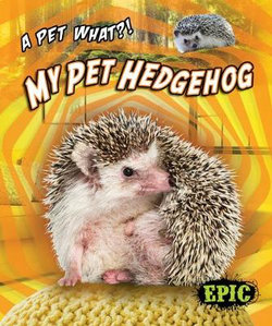 My Pet Hedgehog