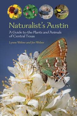 Naturalist's Austin