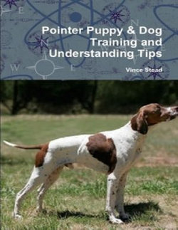 Pointer Puppy & Dog Training and Understanding Tips