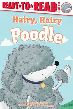 Hairy, Hairy Poodle