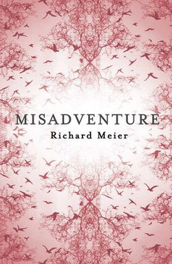 Misadventure