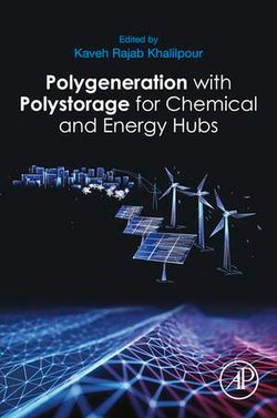 Polygeneration with Polystorage