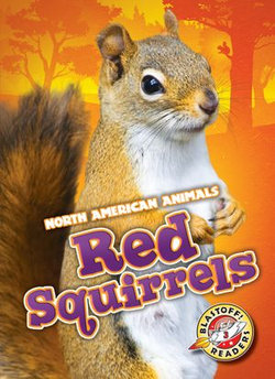 Red Squirrels