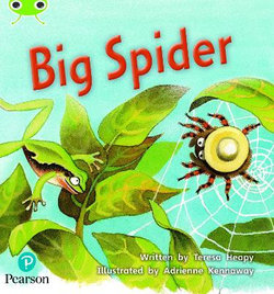 Bug Club Phonics - Phase 5 Unit 27: Big Spider