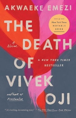 The Death of Vivek Oji