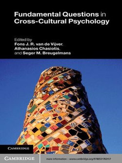 Fundamental Questions in Cross-Cultural Psychology