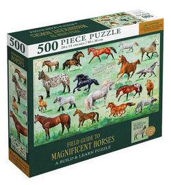 Field Guide to Magnificent Horses